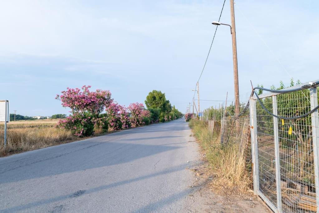 马尔马里Zografia - Charming House Near The Coast公寓 外观 照片